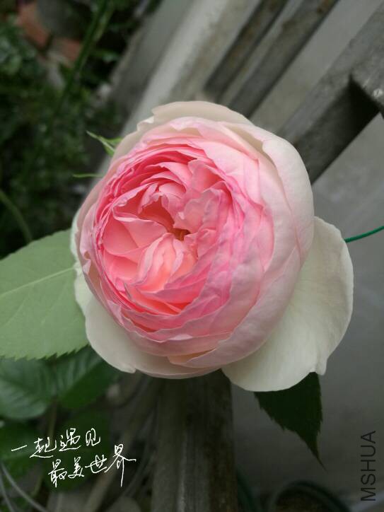 221019ah891g81dvd1d9dg.jpg