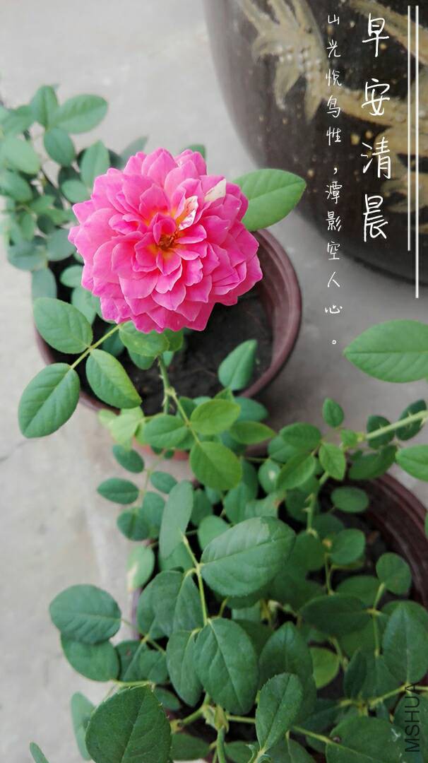094922qu83p23uraxnrpmn.jpg