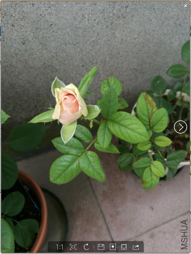 QQ��ͼ20160905132613.jpg