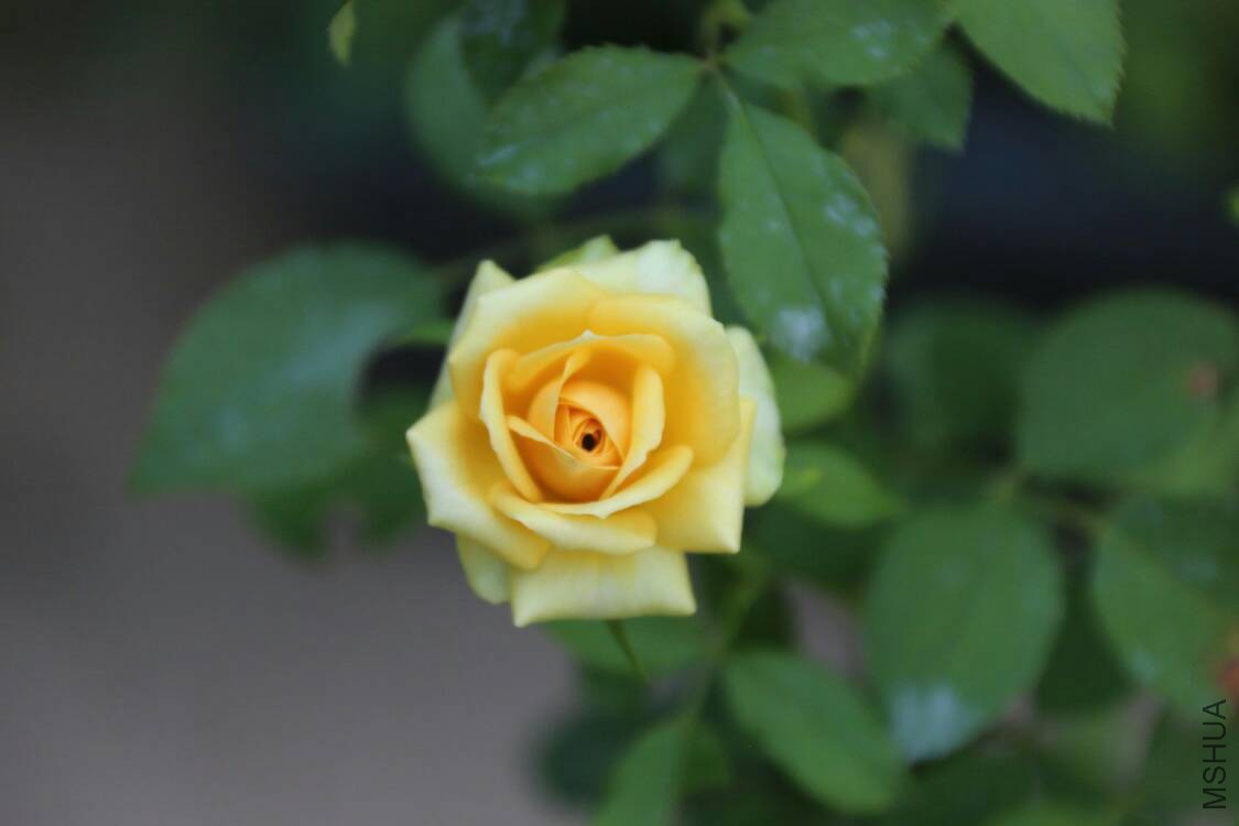 141851yleml7q5qaau4gmm.jpg
