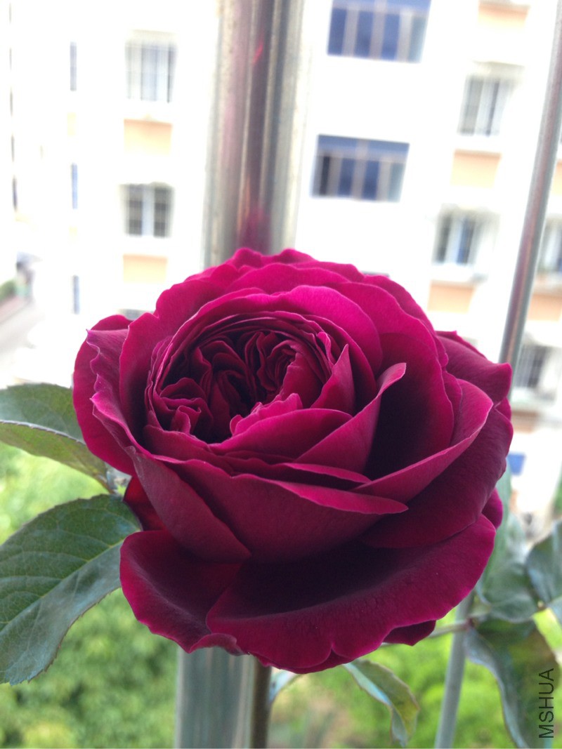 170237gidi9x9esdlduj99.jpg