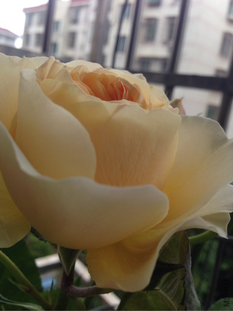 170924f99kk45m8xxut50b.jpg