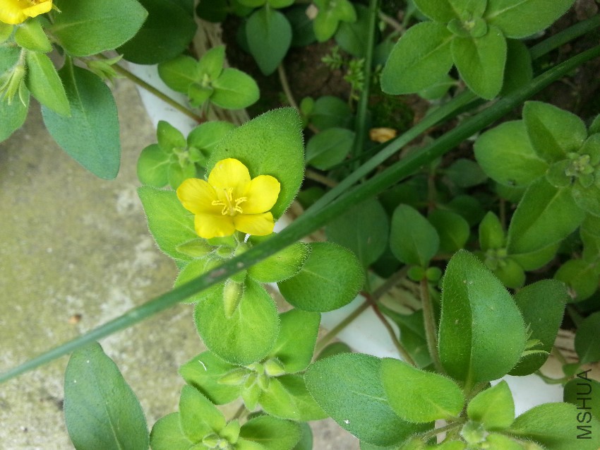 20160528_120801.jpg