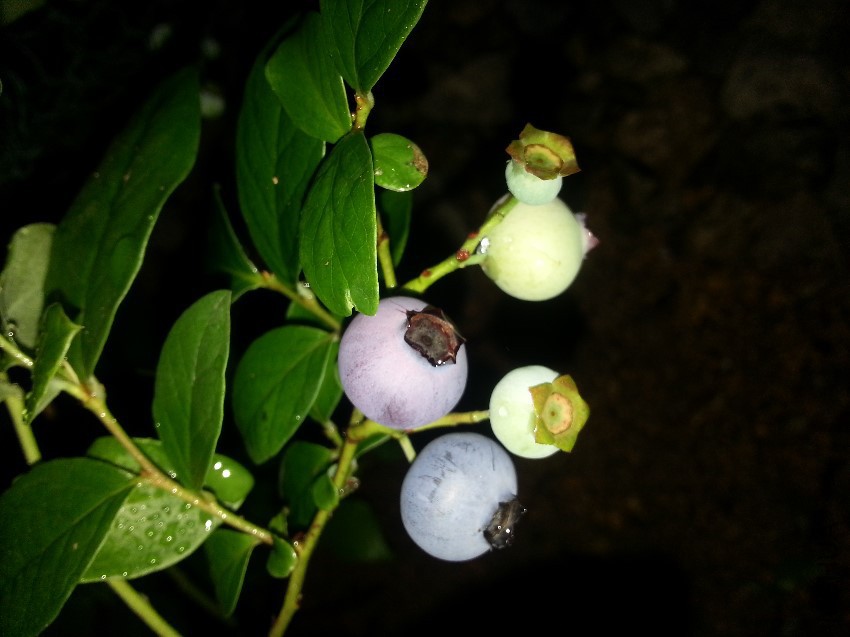 20160601_182117.jpg