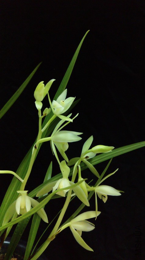 IMAG0821.jpg