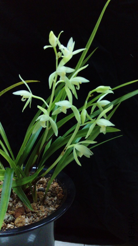 IMAG0822.jpg