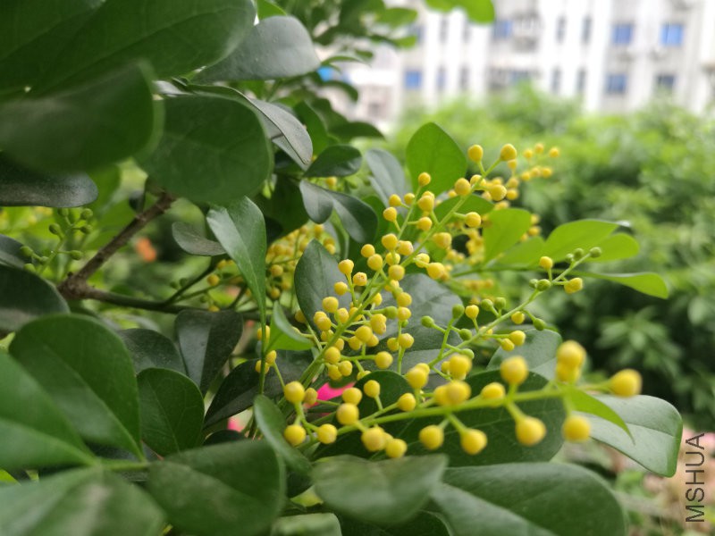 IMG_20160909_075957.jpg