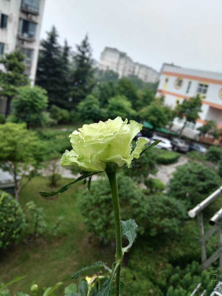 161813qo3jx6qo6rgi3zro.jpg