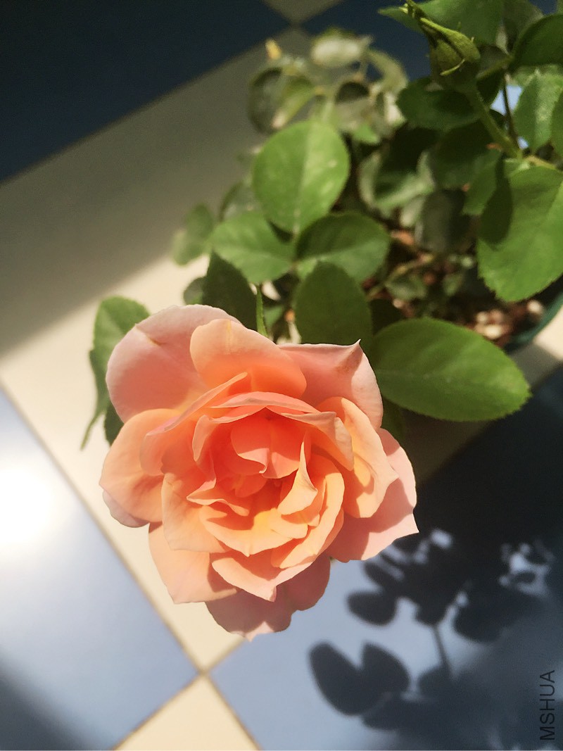 225228f9c4kcw4f4kt4nzj.jpg