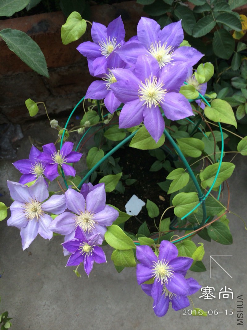 124745gx7s70gg4losgelx.jpg