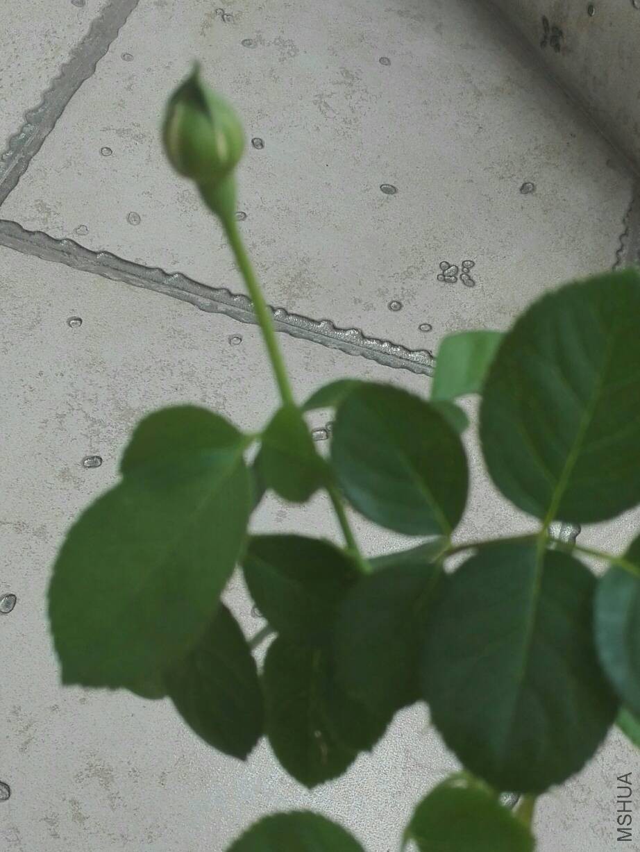 133056n8xi6o6s83hx3iyc.jpg