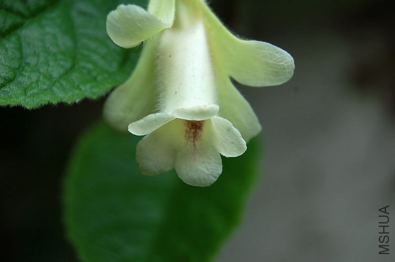 DSC_47700547.JPG