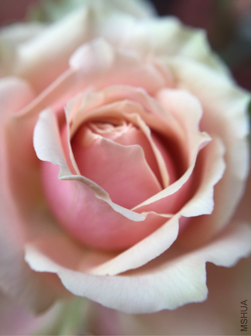 130927sx00dfsqzs7t0nz2.jpg