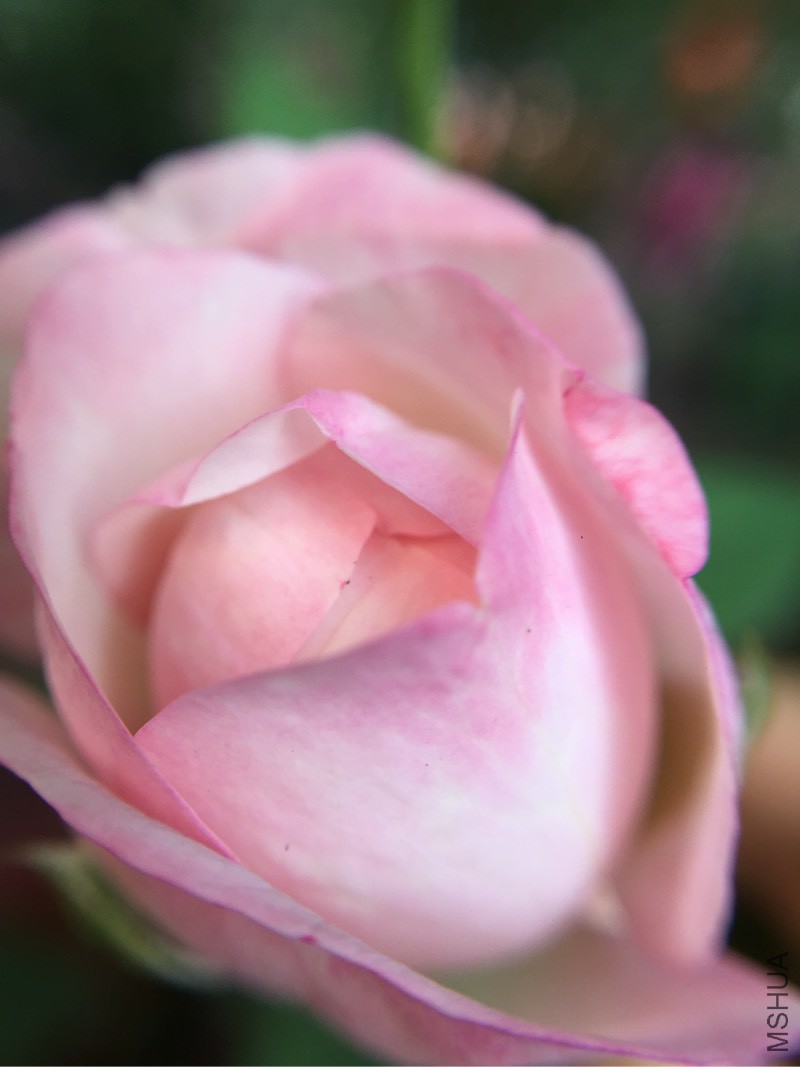 130929jwct1rhy1ynok29l.jpg