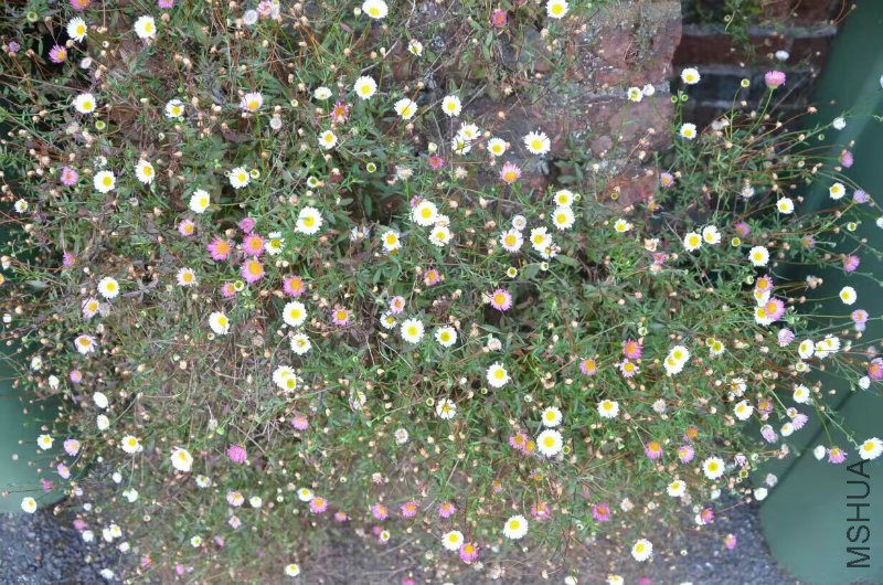 853359528007160659.jpg
