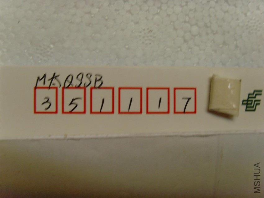 SNV31987.JPG