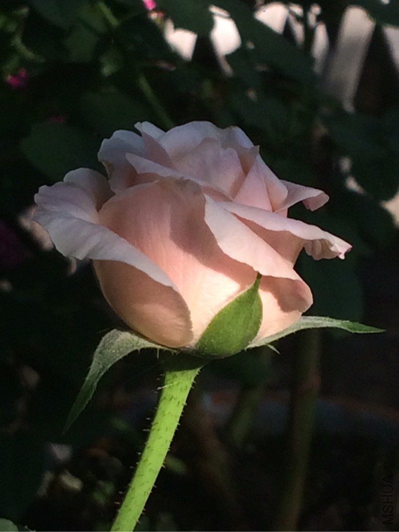 135205rf70iymlyf1ll3y7.jpg