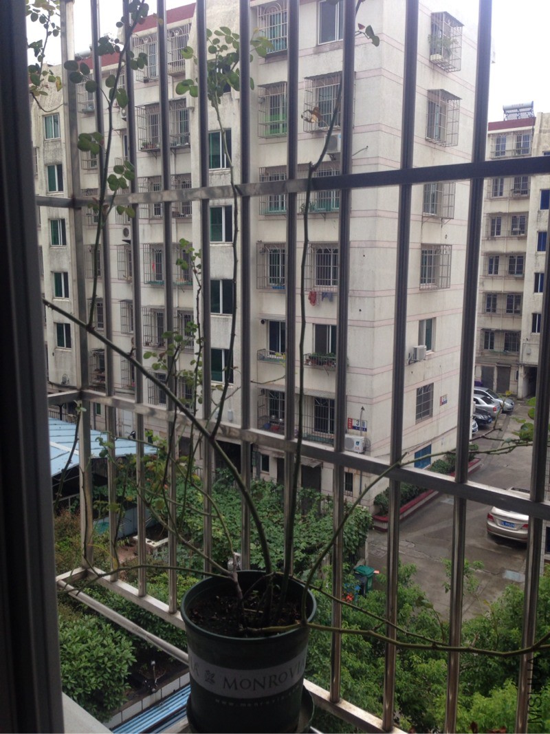 143720qz7l7u7nd47own97.jpg