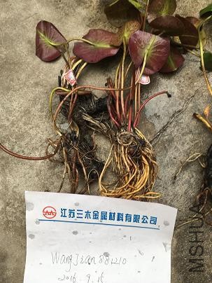 20160915144117.jpg