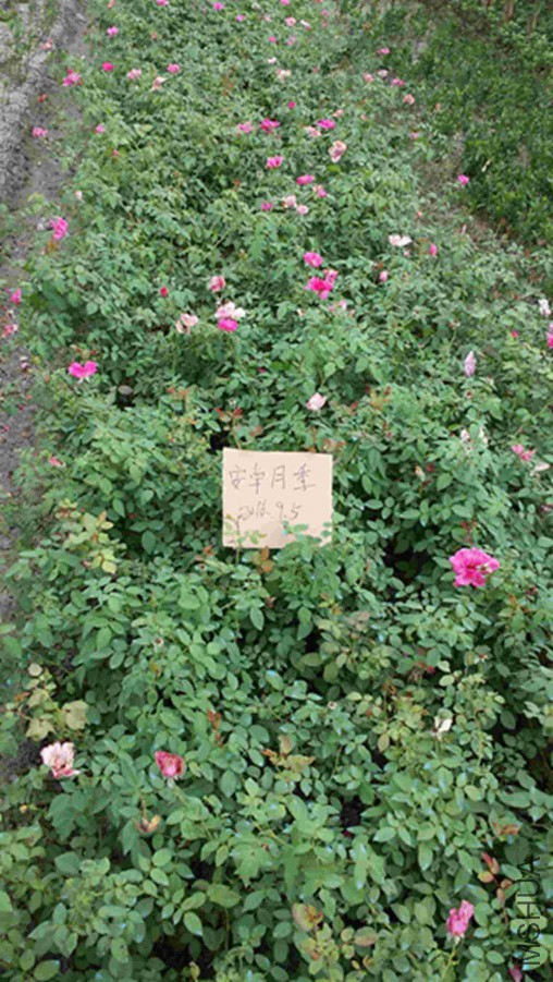 20160905_164558_����.jpg