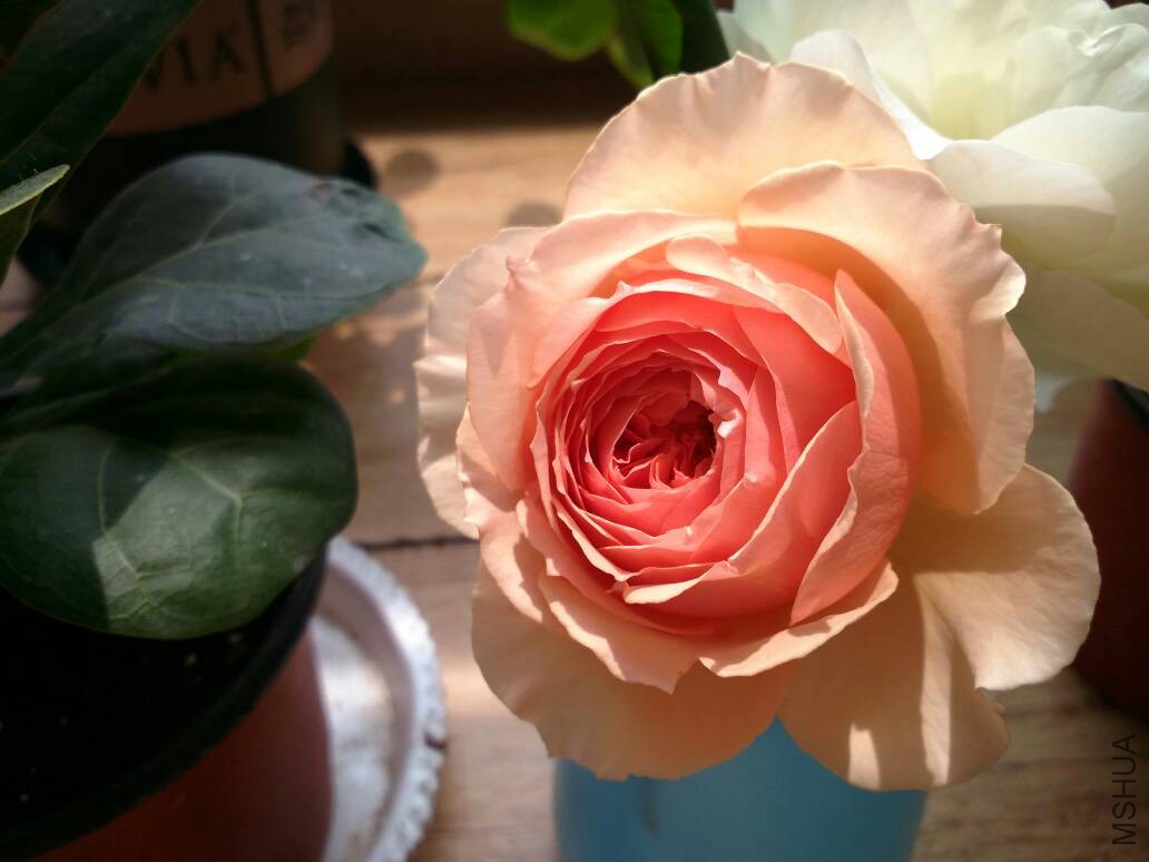 150323lxxe4744z42q7d4q.jpg