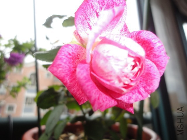 DSC01579.JPG