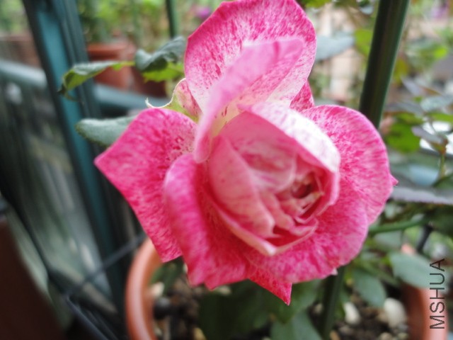 DSC01583.JPG