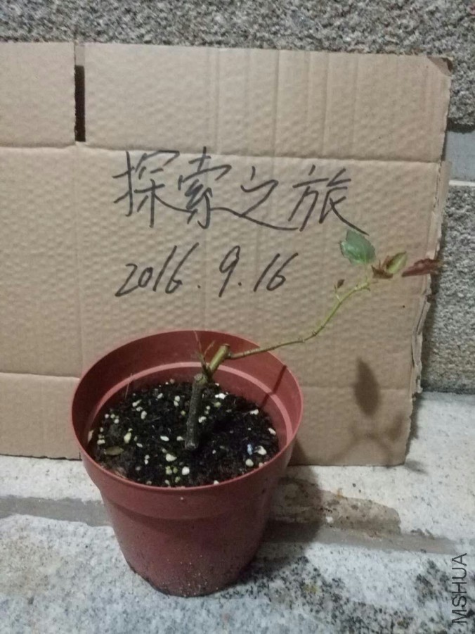 �¼� �Ӱ��д���ʹ