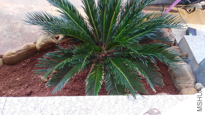 ����������֮ǰһֱ����������ȥ����������Ｘ��Ҳû�����������ױ���������ȥ�ġ�