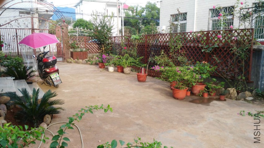 ���������ȥ