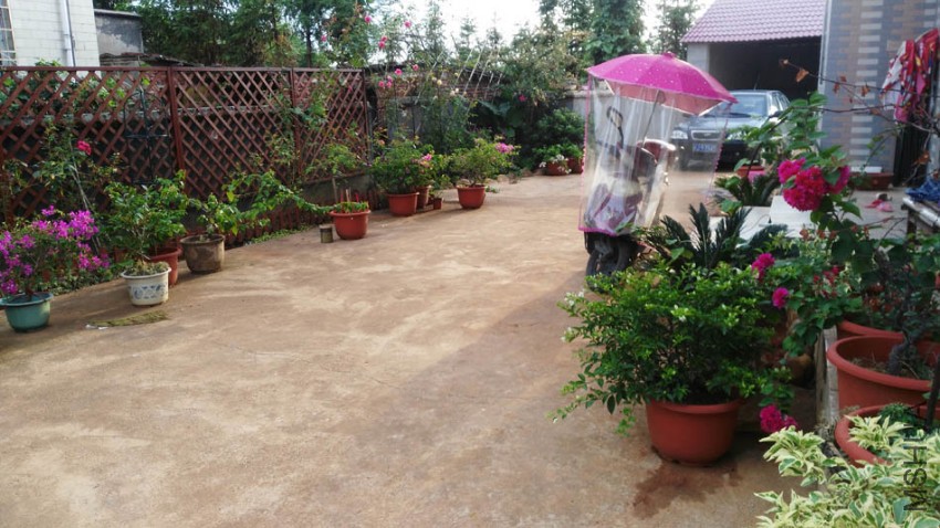 ���������ȥ�������Աߡ�