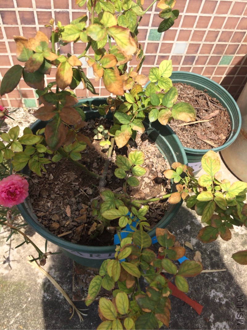 134256ikylzx5alwjqljj5.jpg