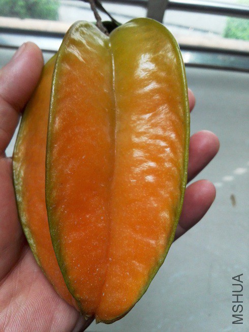 ͼƬ07.jpg