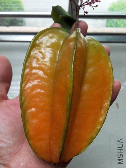 ͼƬ08.jpg
