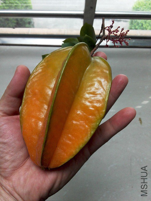 ͼƬ09.jpg