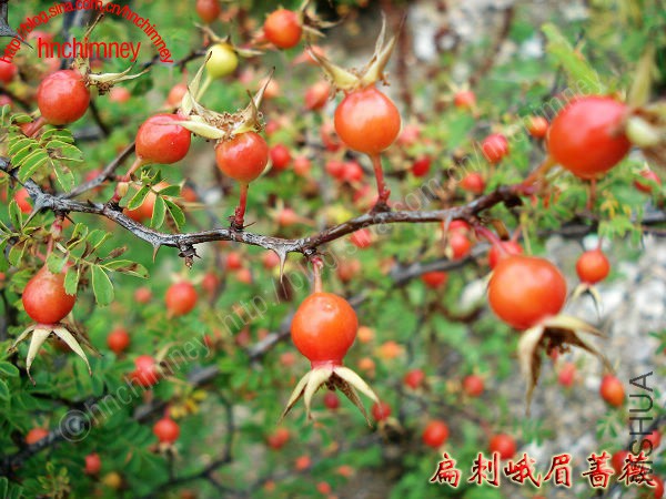 4d317464gacc09ee989d0&amp;690&amp;690.jpg