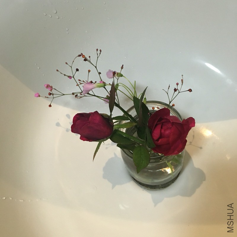 142433z9xwxutzovsphtct.jpg