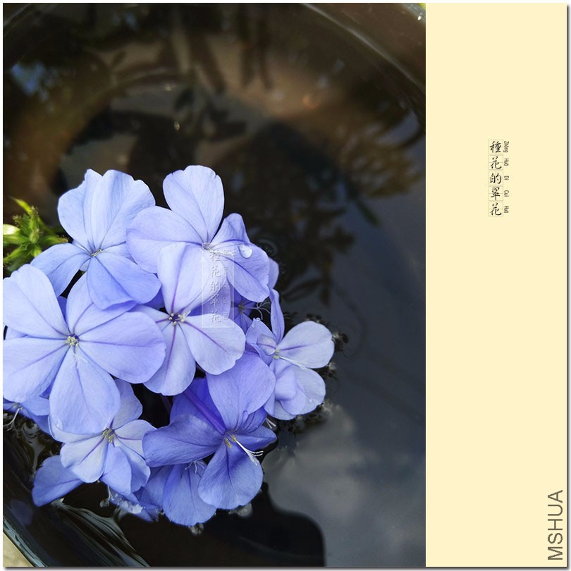 2016-9-205.jpg