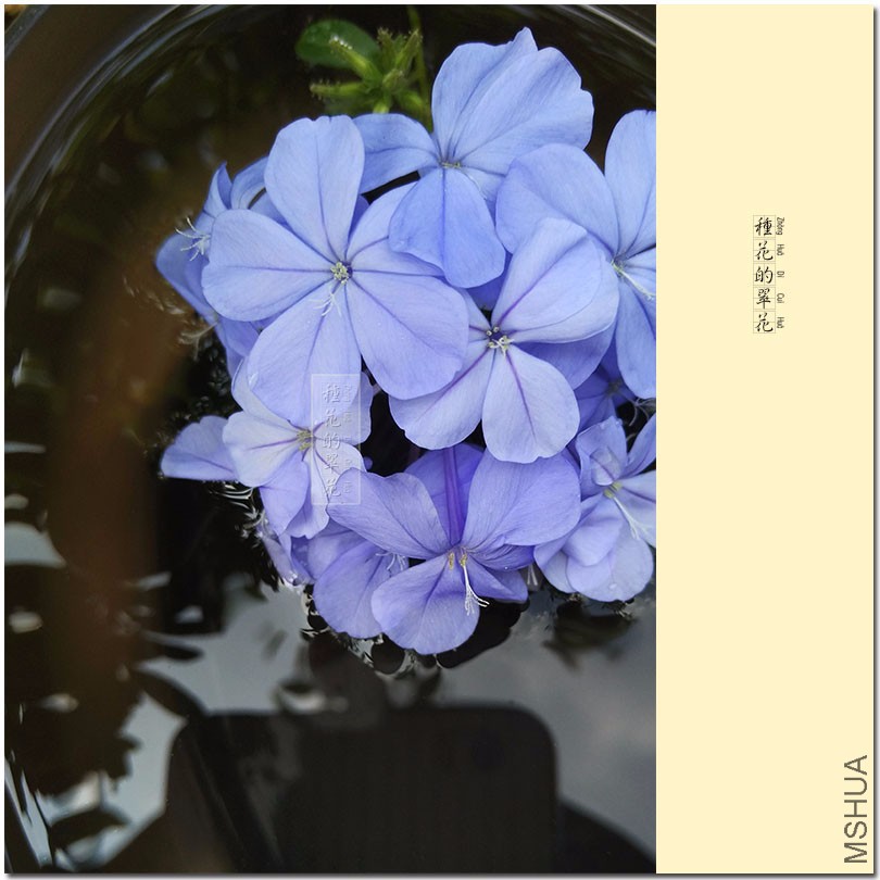 2016-9-206.jpg