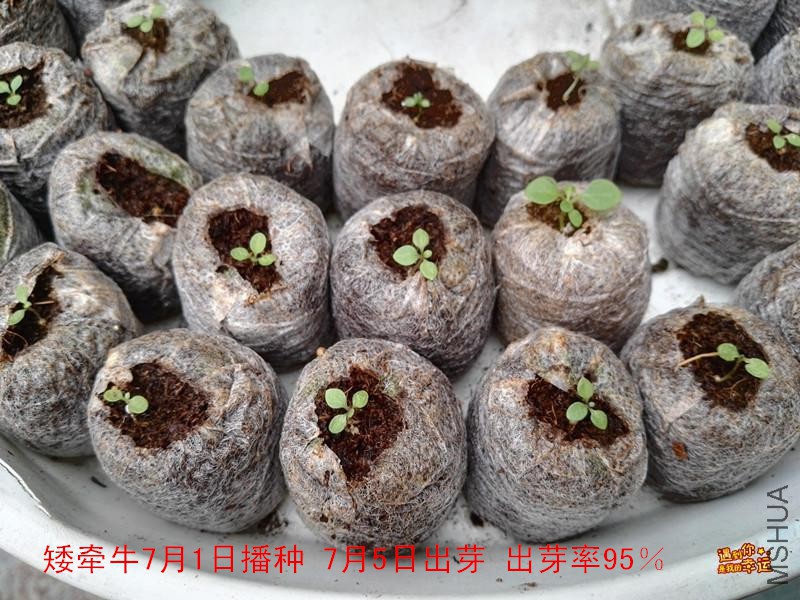 ��Ƭ 001_����..jpg