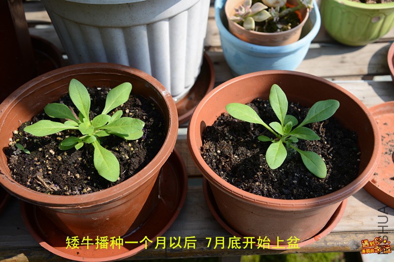 ��Ƭ 002_����.jpg