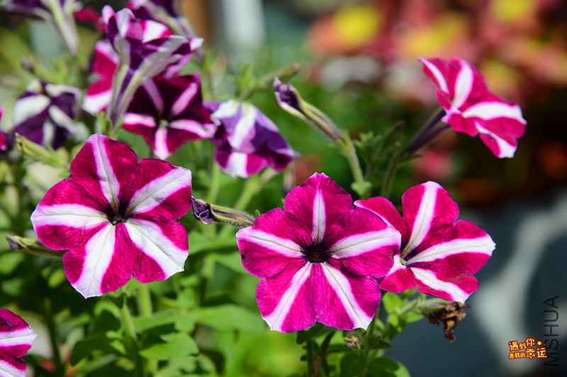 ��Ƭ 011_����.jpg