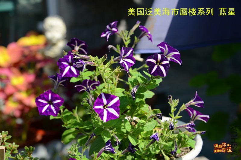 ��Ƭ 013_����.jpg