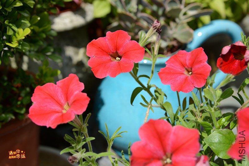 ��Ƭ 022_����.jpg