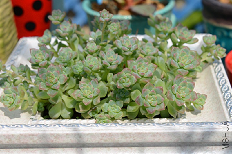 ��Ƭ 070_����.jpg