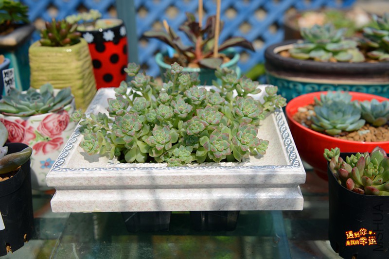 ��Ƭ 069_����.jpg