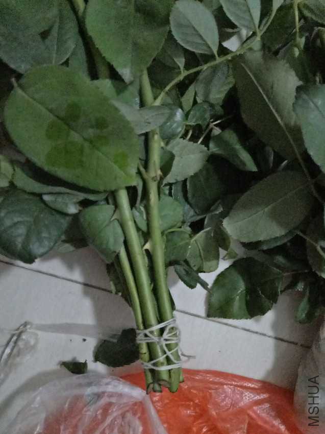 IMG20160920204120.jpg