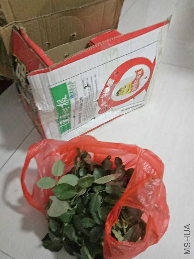 IMG20160920203849.jpg