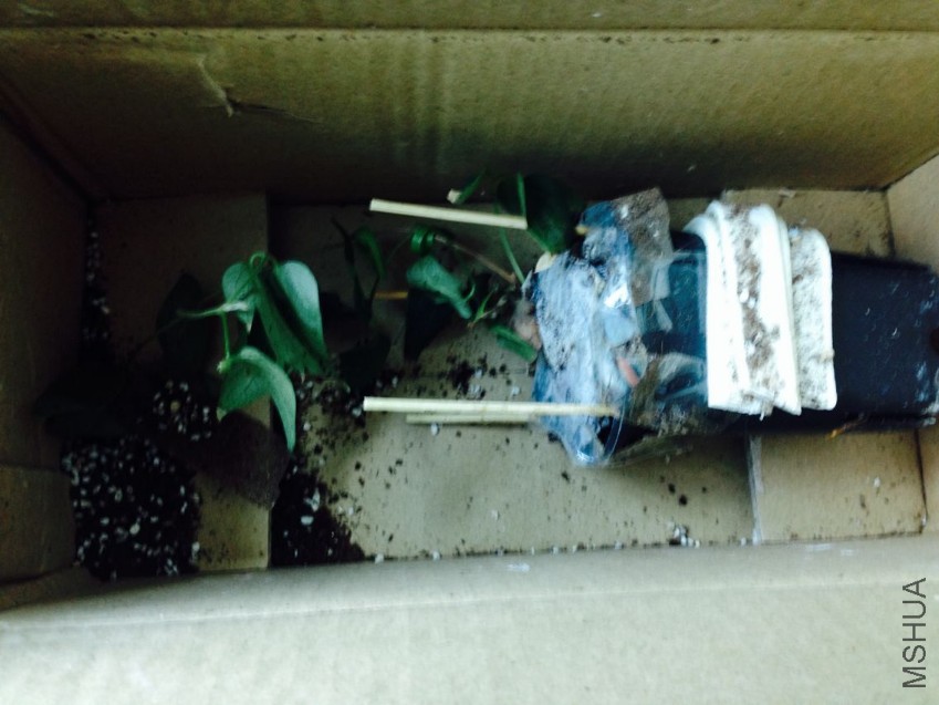 �յ��򿪾�����û�й̶�ס��