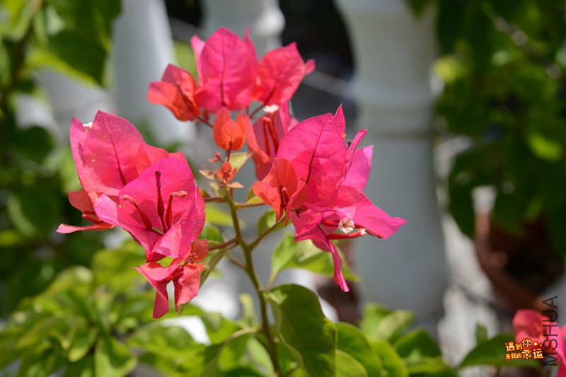 ��Ƭ 100_����.jpg